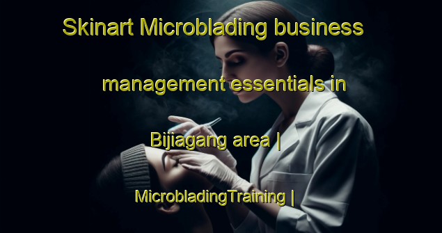 Skinart Microblading business management essentials in Bijiagang area | MicrobladingTraining | MicrobladingClasses | SkinartTraining-China